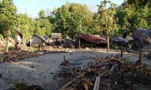 Tsunami damage in Temotu province of the Solomon Islands