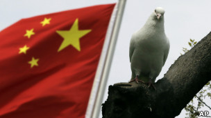 china_bird