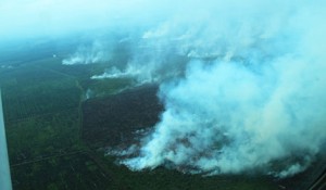 Riau haze