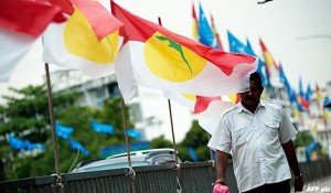 umno flag