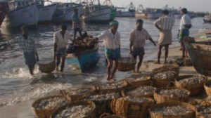 rameswaram_fishermen_tamilnadu