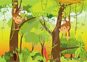monkey