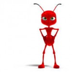 child ant