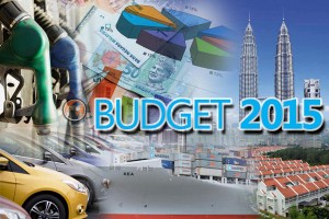 mole-BUDGET-2015