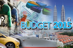 mole-BUDGET-2015