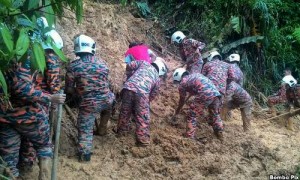 cameron highlands palanivel