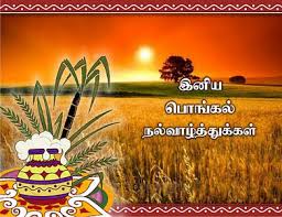 Pongal