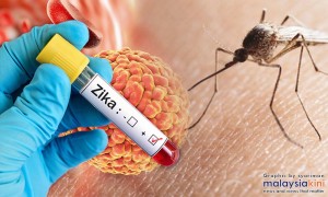 zika