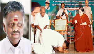 Pannerselvam-Jaya-01