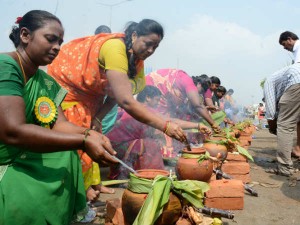 pongal-DELTA