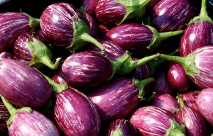 brinjal