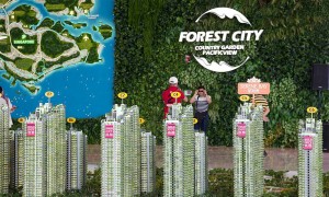 forest city