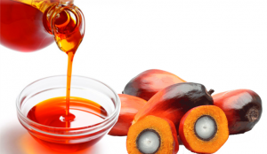 palm-oil