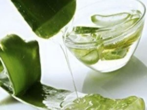 aloevera