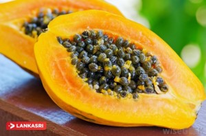 papaya