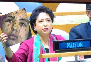 Pakistan-uses-fake-picture
