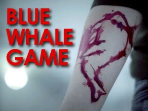 blue-whale